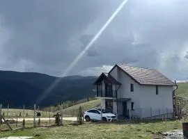 Vila Narci Paltinis