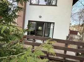 Zielony Cypel