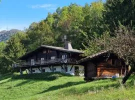 Large chalet overlooking Lake Geneva