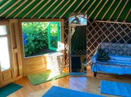 Panoramic Yurt - NaturViana