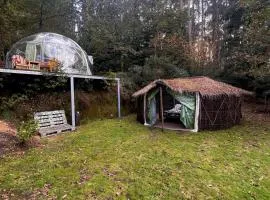 Selfmade Yurt - NaturViana