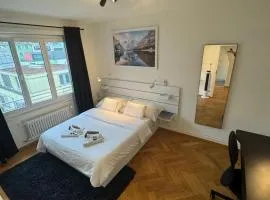 Cosy studio in Lausanne Flon