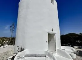 Windmill of Mykonos