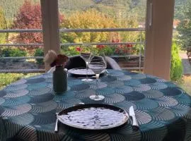 Les Euphorbes, gîte entre vignes et montagnes