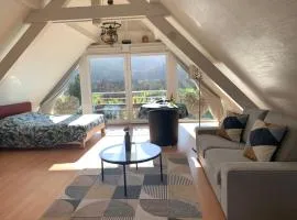 Les Euphorbes, gîte entre vignes et montagnes