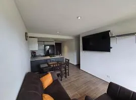 Apartamento en Parque Mateo
