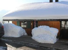 Ferienhaus Alpkönigin