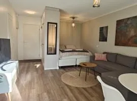 Kaupunkikoti omalla saunalla sekä lähellä juna-asemaa, 100M Wifi