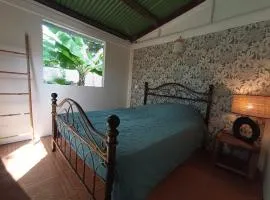 Ma chambre à l' ombre des bananiers