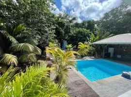 Villa les 3s piscine privée et grands espaces