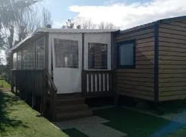 Mobilhome Eucalyptus Saf
