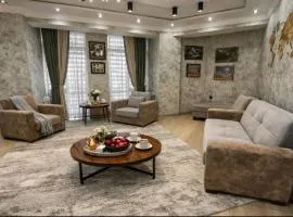 Квартира-галерея в центре-просторно-уютно