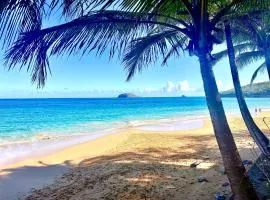 Tibo bas de villa accès 4 plages à Deshaies