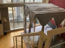 933 seymour at vancouver downtown