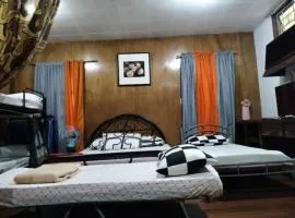 Jenny's transient house