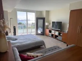 Luxury Building with Ocean Views in Downtown