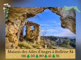 Maison des ailes d Anges