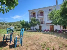 O Ampelonas toy kyr Giorgou 2