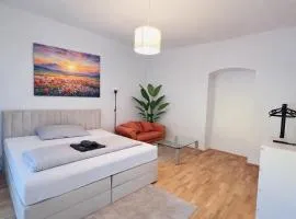 Modern New Eggenberg Top 1b