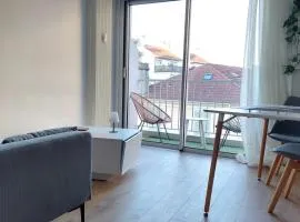 résidence Victor Hugo PAU 64000