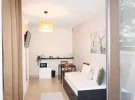 Studio near Groupama Stadium, Airport, Eurexpo,LLDC arena