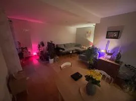 Chambre à Gex Accès rapide Genève LGBT amical