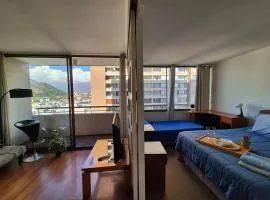Cozy 1-BR Apartment, Central Bellavista, Recoleta, Bellavista