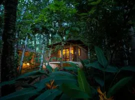 Raindrops Resorts Wayanad