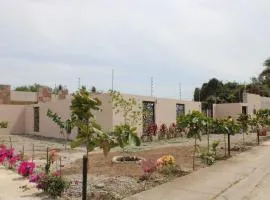 Quinta amore