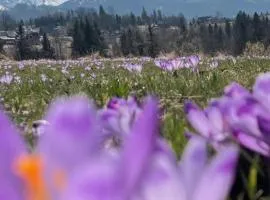 Niedźwiedzia Residence Garden Sauna