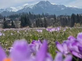 Niedźwiedzia Residence Garden Sauna