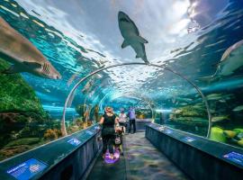 Skyline Suites - Steps to CN Tower Coronation Park TTC - Free Parking, hotel i Toronto