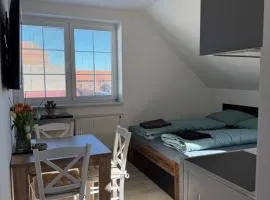 Apartmán ve Zlonicích blízko Prahy