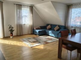 Große Ferienwohnung am Waldrand zwischen Bamberg und Bad Staffelstein, hotel in Zapfendorf