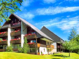 Naturidyll am Fluß-Ferienhaus Albmatte-Großer Garten mit Grill- Spiel- und Sitzmöglichkeiten, Hotel in St. Blasien
