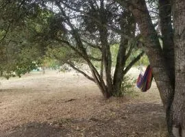 Maison de campagne à Moissac