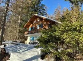 Chalet Privé avec vue imprenable sur les alpes
