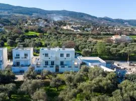 Olive Paradise Maison