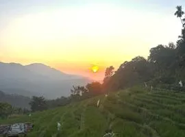 Kingdom of Rustic Ella