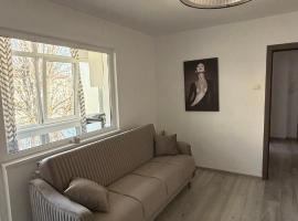 Lion Crib, hotel di Bacău