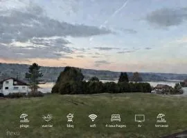 Maison Vue Lac Saint-Point 2 Appartements & Jardin