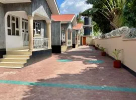 Dolphin AIR B&B