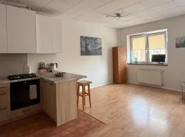 Cozy and Bright Studio Apartment