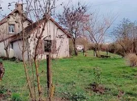 Le vallon des vignes