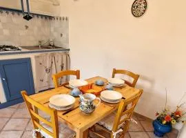 Among olive trees and vineyards in complete relax - Torreselle