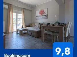 Andriana' s apartment Agia Paraskevi