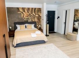 Piatra Studio, hotel a Piatra Neamţ
