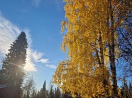 Lovikka Village House - A Short walk from the Torne River, hotell i Pajala