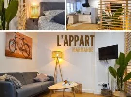 Magnifique appartement rénové plein centre-ville