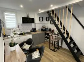 Appartement proche Zenith & Polyclinique